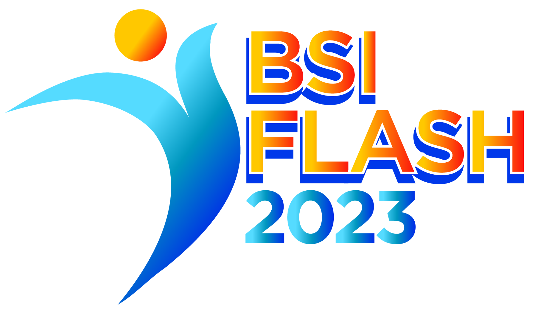 bsiflashupdate-01 logo